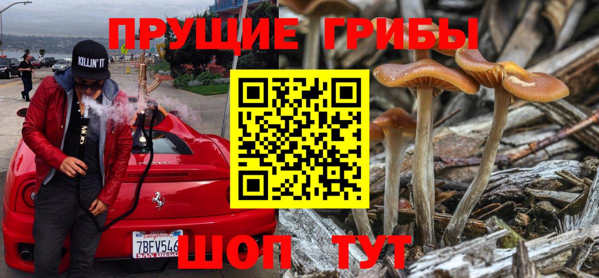 Галлюциногенные грибы мухоморы Славгород